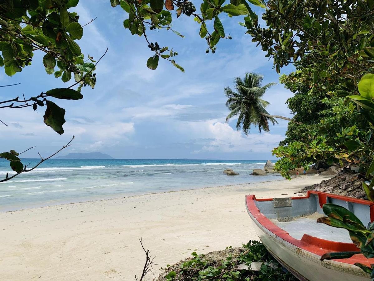 Oceanic View Apartments Vịnh Beau Vallon Ngoại thất bức ảnh