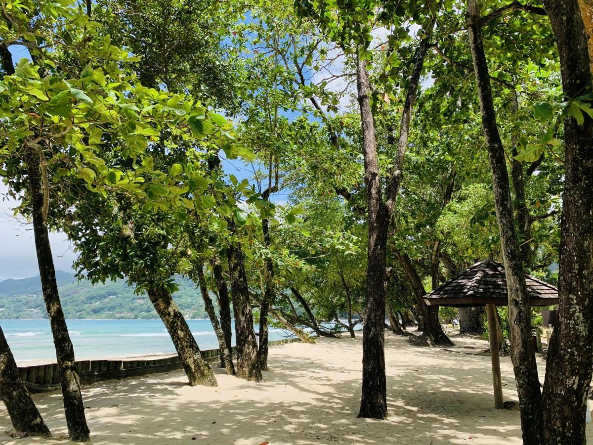 Oceanic View Apartments Vịnh Beau Vallon Ngoại thất bức ảnh